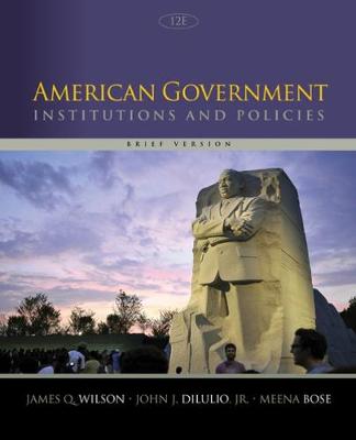American Government