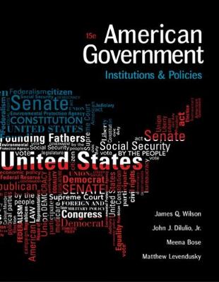 American Government