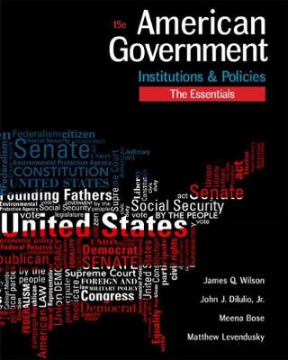 American Government