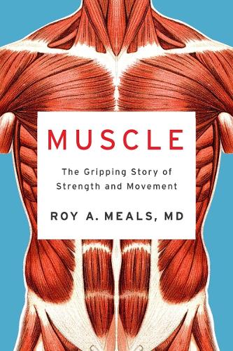 Muscle