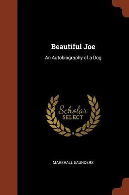 Beautiful Joe