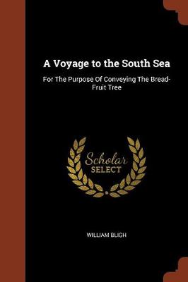 A Voyage to the South Sea