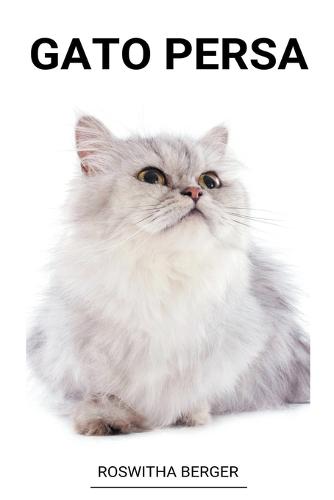 Gato Persa