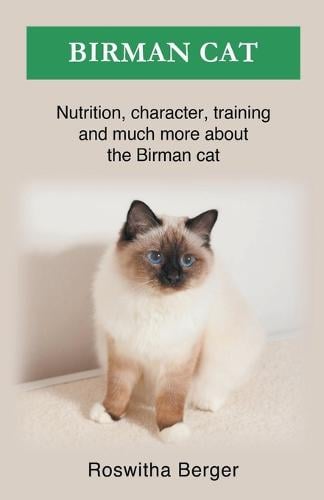 Birman Cat