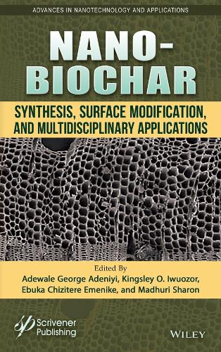 Nano-Biochar