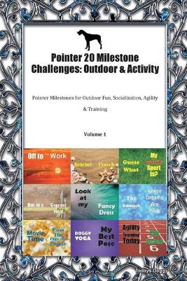 Pointer 20 Milestone Challenges