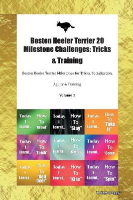 Boston Heeler Terrier 20 Milestone Challenges