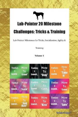 Lab-Pointer 20 Milestone Challenges