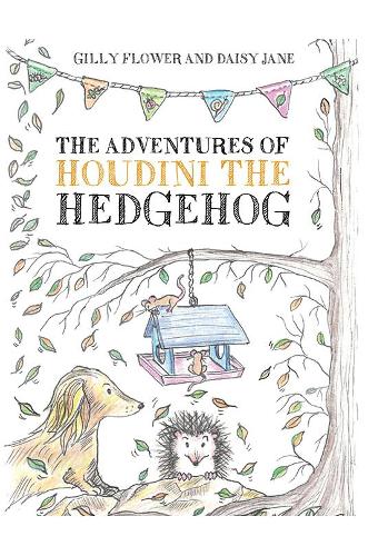 The Adventures of Houdini the Hedgehog