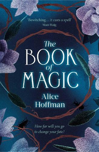 The Book of Magic Volume 4