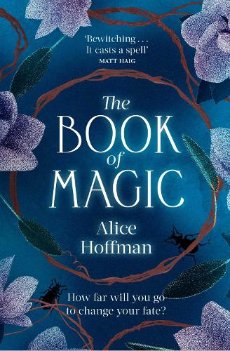 The Book of Magic Volume 4