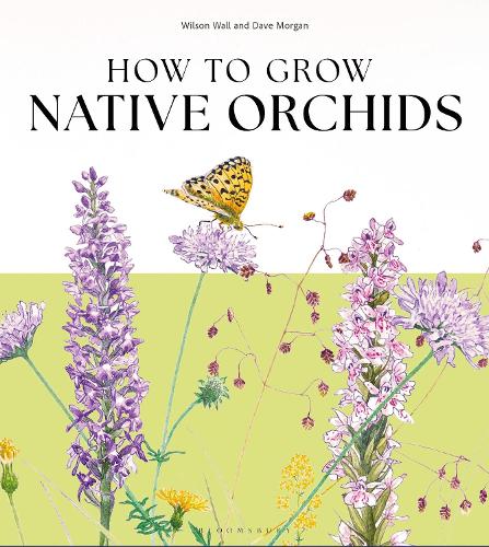 How to Grow Native Orchids