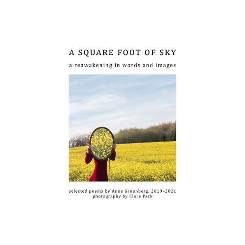 A Square Foot of Sky