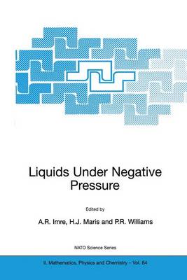 Liquids Under Negative Pressure