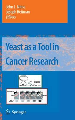 Yeast as a Tool in Cancer Research