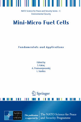 Mini-Micro Fuel Cells