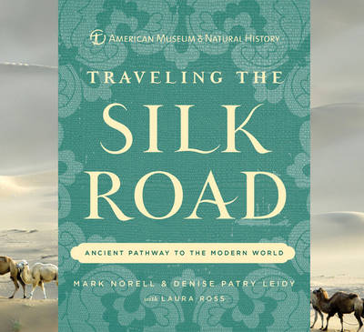 Traveling the Silk Road