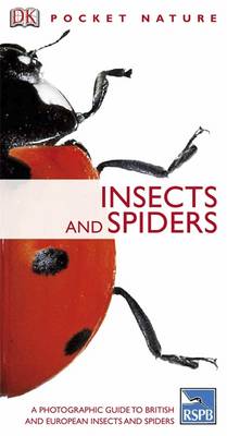 Insects and Spiders
