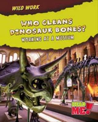 Who Cleans Dinosaur Bones? Working at a Museum