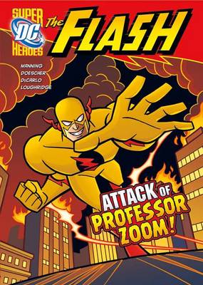 DC Super Heroes: The Flash