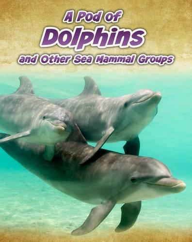 A Pod of Dolphins