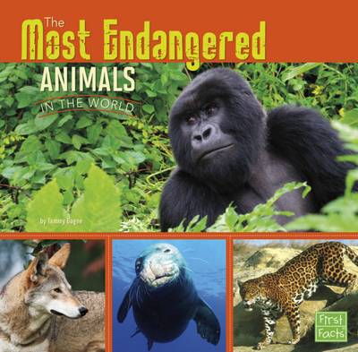 All About Animals Pack A of 4