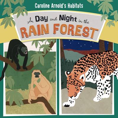 A Day and Night in the Amazon Rainforest
