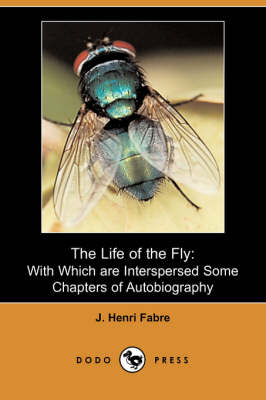 The Life of the Fly