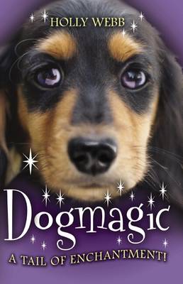 Animalmagic
