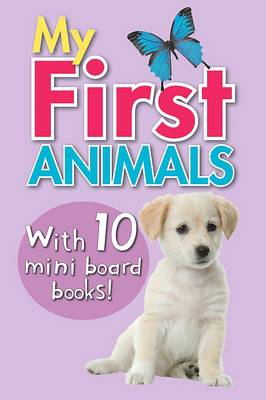 Mini Board Book Box