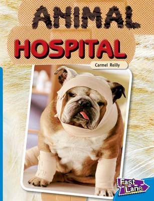 Animal Hospital Fast Lane Blue Non-Fiction