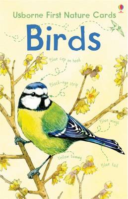 Nature Cards