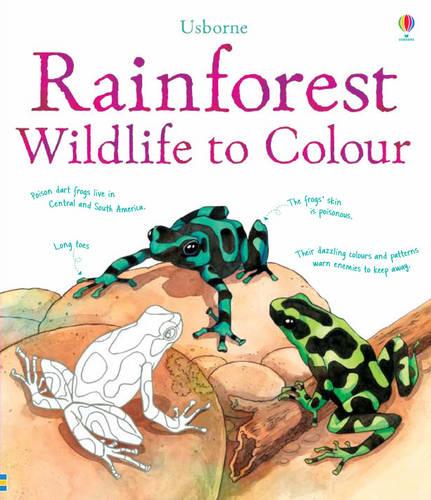 Rainforest Wildlife to Colour