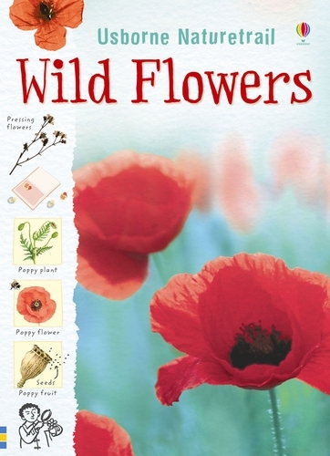 Wild Flowers