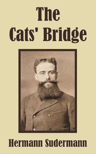 The Cats' Bridge