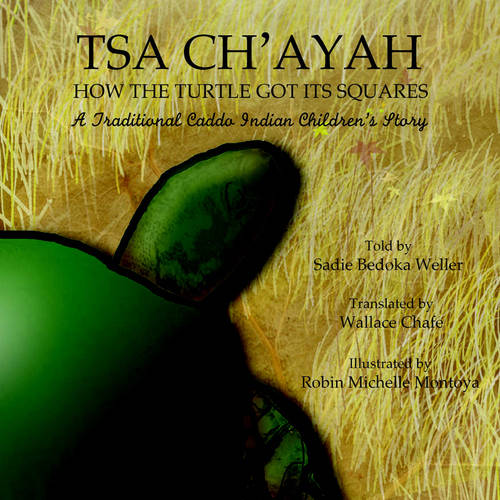 Tsa Ch'ayah How the Turtle Got Its Squares