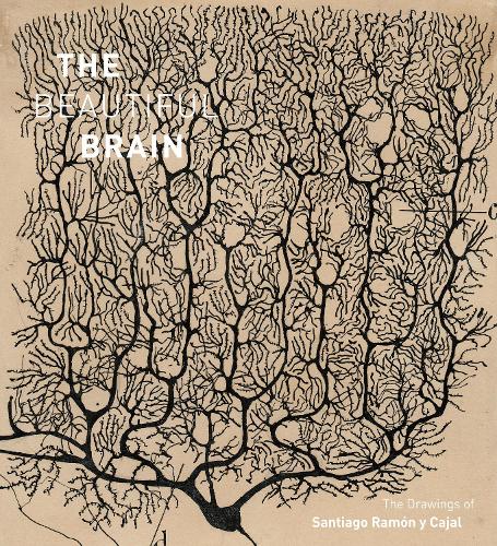 The Beautiful Brain by Larry Swanson