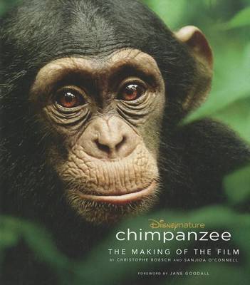 Chimpanzee