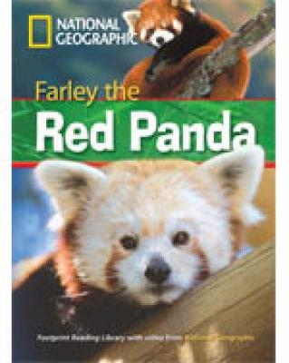 Farley the Red Panda