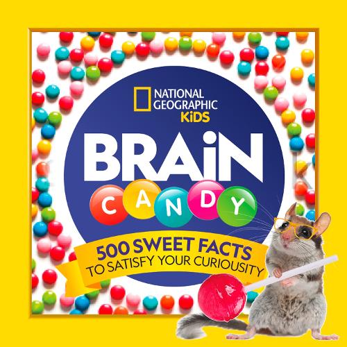 Brain Candy