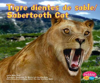 Tigre Dientes de Sable/Sabertooth Cat