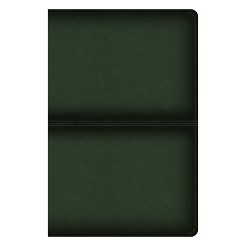 CSB Men's Daily Bible, Olive Leathertouch, Indexed