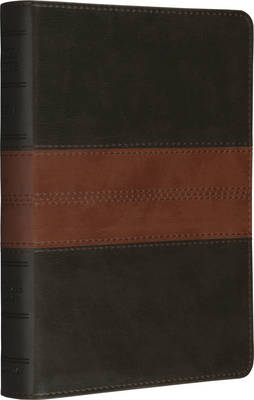 Holy Bible