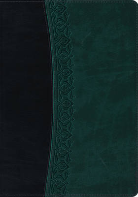 ESV Large Print Bible