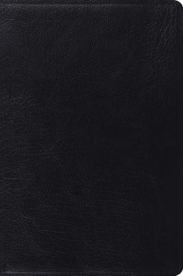 ESV Single Column Legacy Bible
