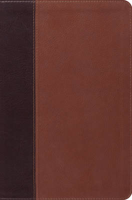 ESV Single Column Legacy Bible