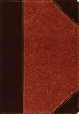 ESV Large Print Bible