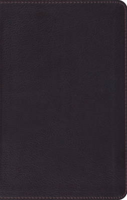 ESV Large Print Compact Bible