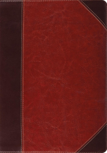 ESV Study Bible, Thumb Indexed