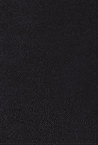 ESV Reader's Gospels